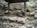 FW-Zoo_677