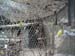FW-Zoo_678