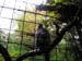 FW-Zoo_683
