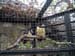 FW-Zoo_685