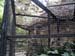 FW-Zoo_686