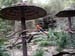 FW-Zoo_691