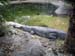 FW-Zoo_698