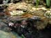 FW-Zoo_704