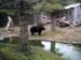 FW-Zoo_715