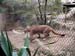 FW-Zoo_718