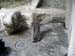 FW-Zoo_720