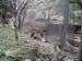 FW-Zoo_723